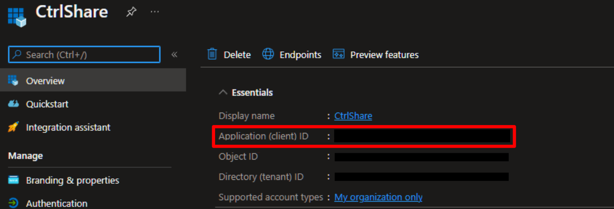 The Overview page of a new app registration, with the Application (client) ID highlighted.